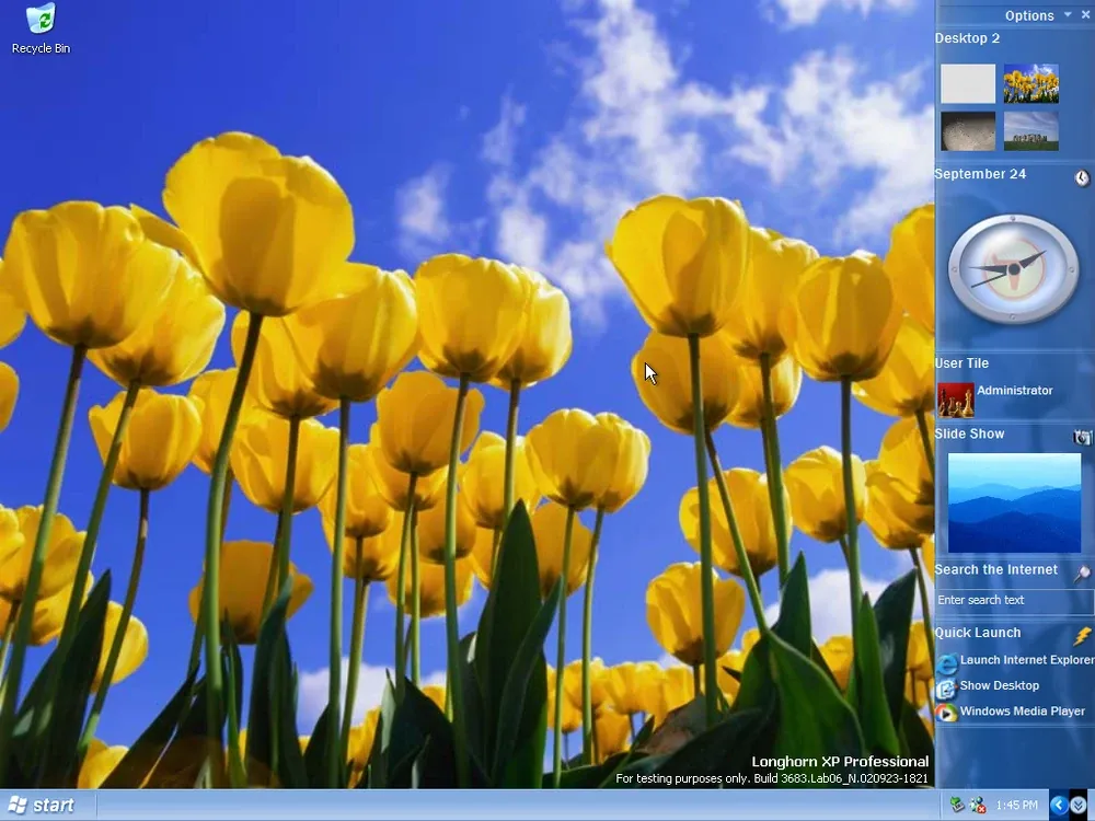 Windows Longhorn desktop with sidebar widgets — clock, weather, slide show — docked on the right edge